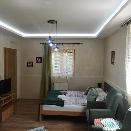 Apartments Vila Knez Zlatibor Exterior photo