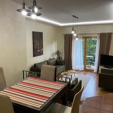 Apartments Vila Knez Zlatibor Room photo