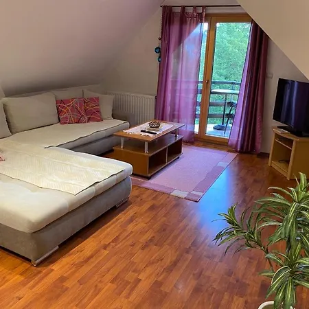 Apartments Vila Knez Zlatibor Room photo