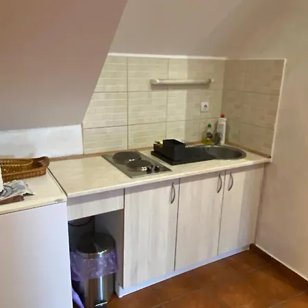 Apartments Vila Knez Zlatibor Room photo