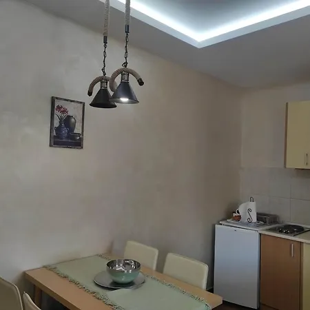Apartments Vila Knez Zlatibor Room photo