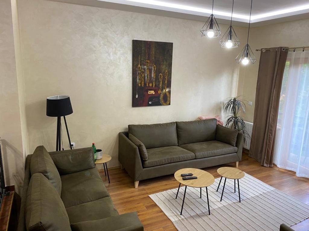 Apartment Knez